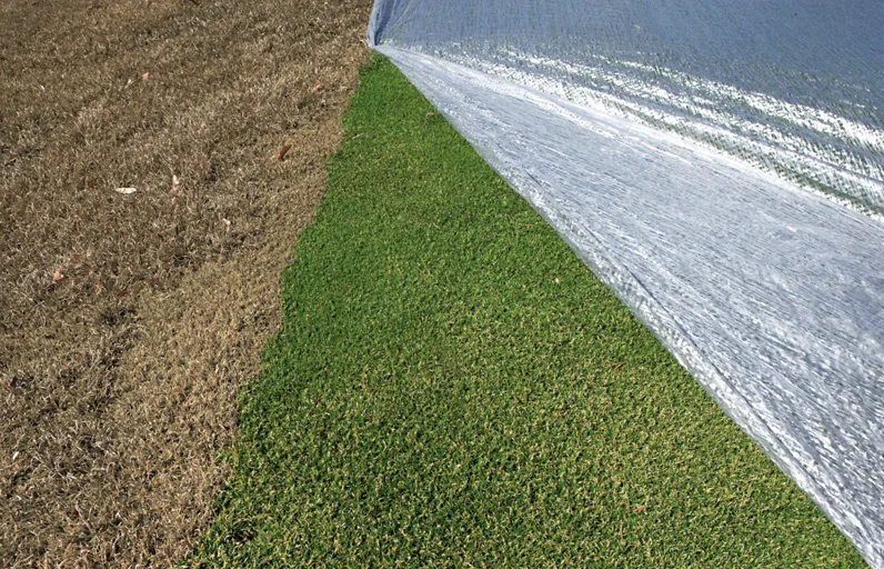 Evergreen Radiant Turf Cover